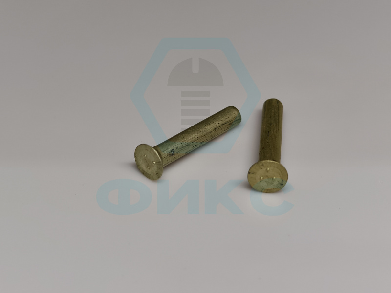 Заклепка ОСТ 1 134091-80 М1х6 анокс