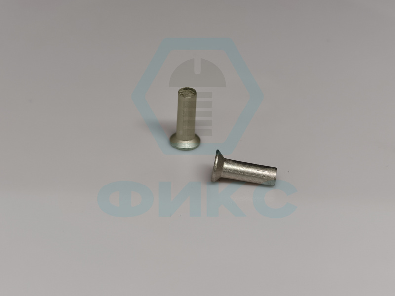 Заклепка ГОСТ 10300-80 2х10 алюминий анокс